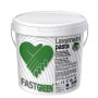 Hand Cleaning Paste Fastgreen Lavamani 2Q